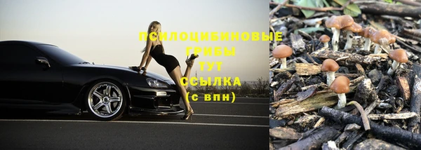 мяу мяу мука Краснотурьинск