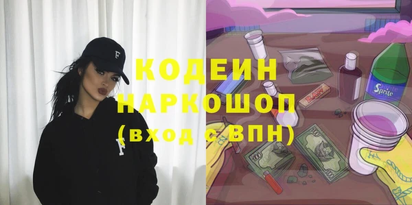 хмурый Лагань