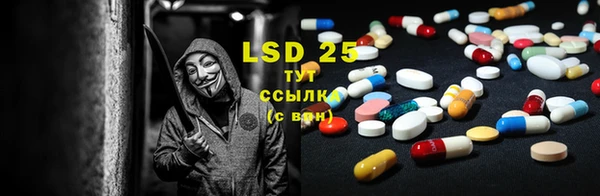 хмурый Лагань