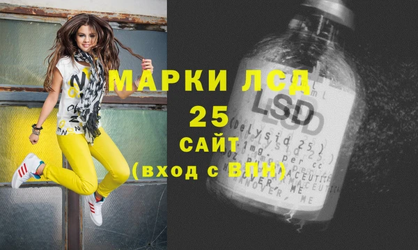 молекула духа Ладушкин