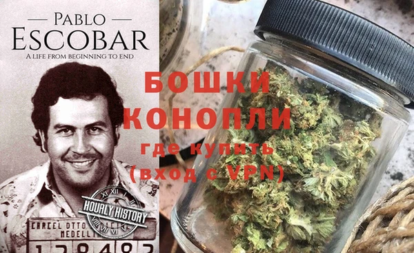 хмурый Лагань