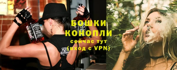 молекула духа Ладушкин