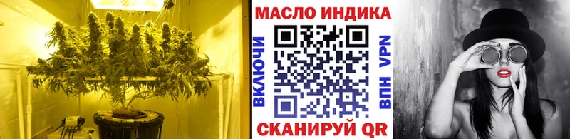 ТГК концентрат Стародуб